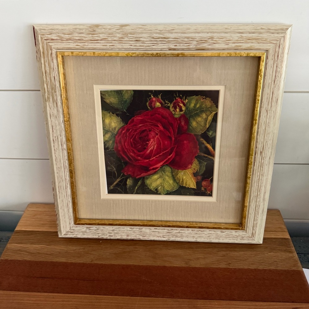 Kathryn White Framed Print “Rose Rogue Detail”14x14